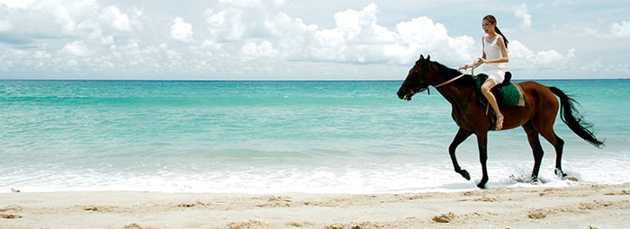 hotel horse photography